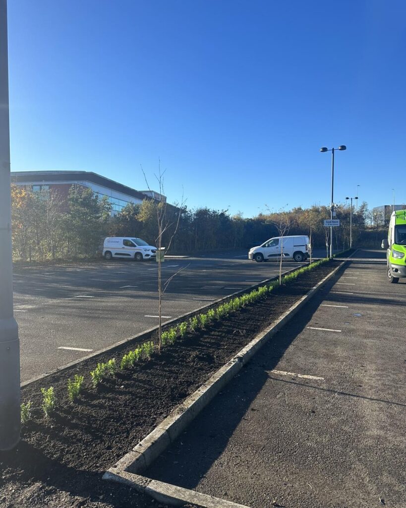 Trusted Experts for Landscaping in Scotland