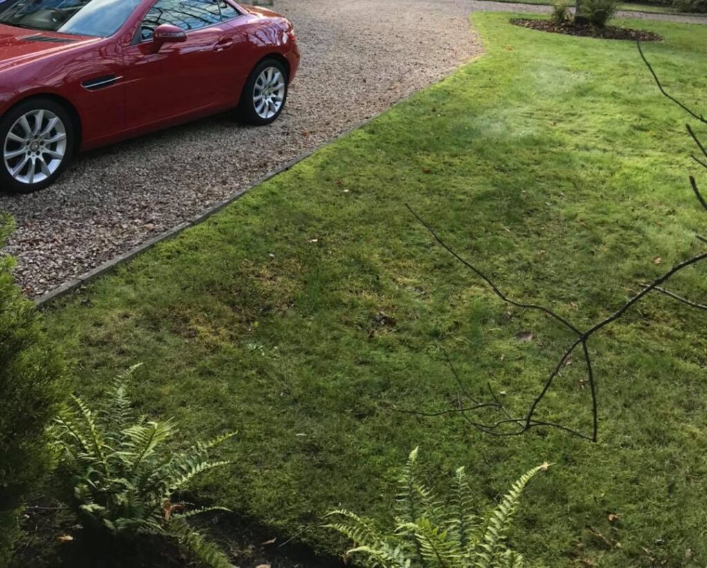 Garden Maintenance Services in Scotland