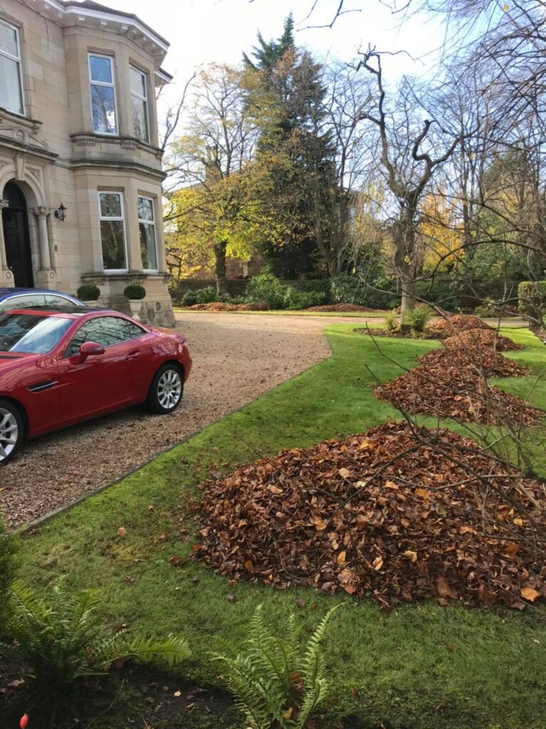 Garden Maintenance in Scotland
